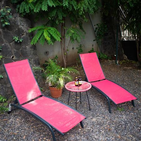 Le Bambou T3 Centre Ville Sainte Clotilde Rez De Jardin Bois de Nefles  Εξωτερικό φωτογραφία