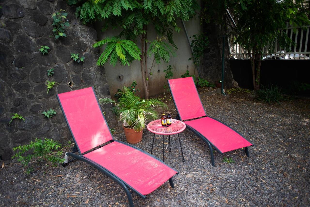 Le Bambou T3 Centre Ville Sainte Clotilde Rez De Jardin Bois de Nefles  Εξωτερικό φωτογραφία